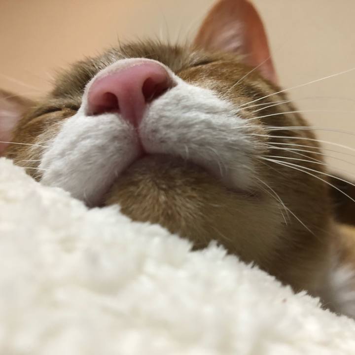 24bde06f 8014 4643 84dd 6c038f2df1e8 1552995867818