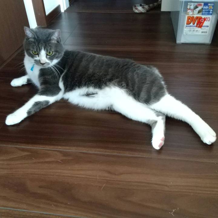 24bde6a1 5c31 4220 bc44 1545a0e7bb23 1604797892745