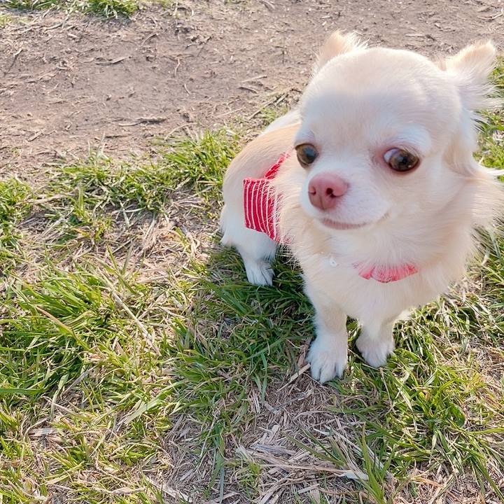 24bded27 1a5b 4e0b af63 2e52a72765dc 1615889325046