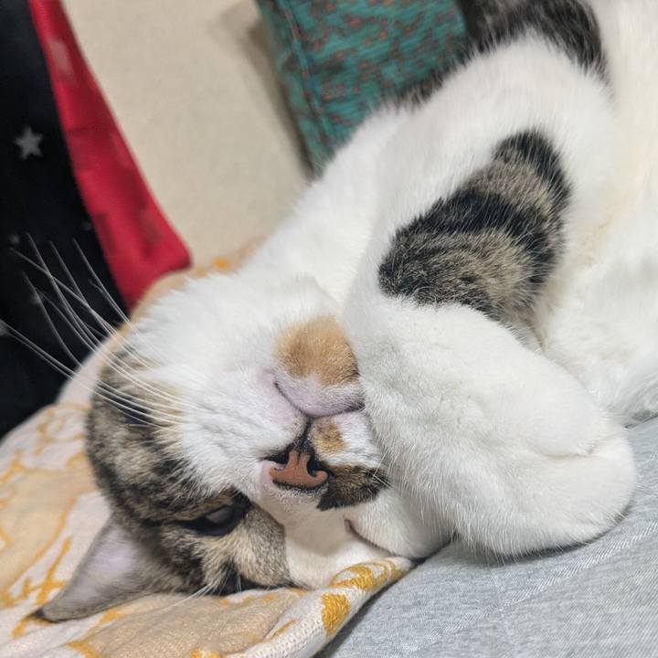 24bdf5ee 4395 463d 82d6 7c24575757d7 1724657256939