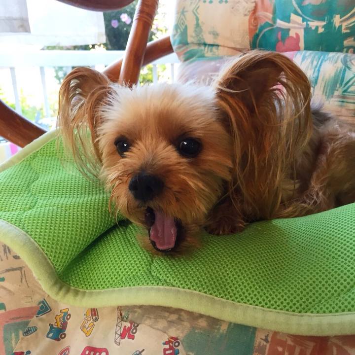 24be00b7 0fc8 4e7e a1bf 83c0d3b156a8 1537145890206