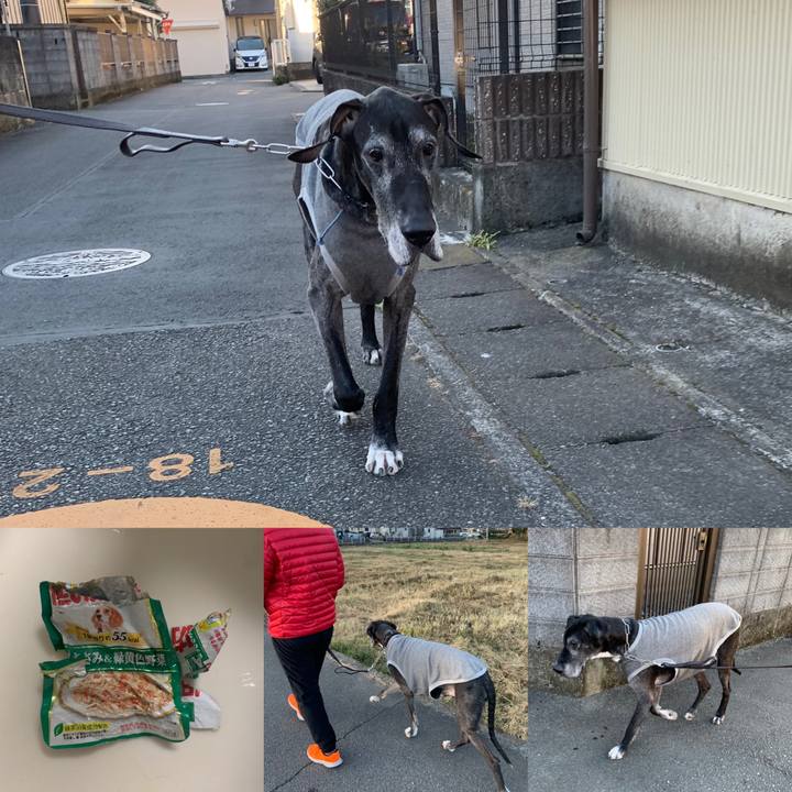 24be30e0 b6bf 4b7e a017 863ffc949fb9 1608421184622