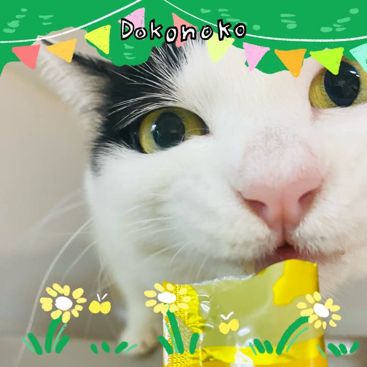 24be98b7 e39c 4a12 88bf 374950c06579 1711280855916