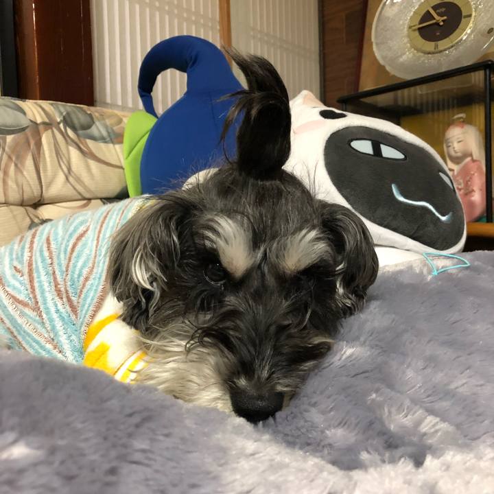 24bedef4 a539 4491 8b2a 65224f406440 1517056328164