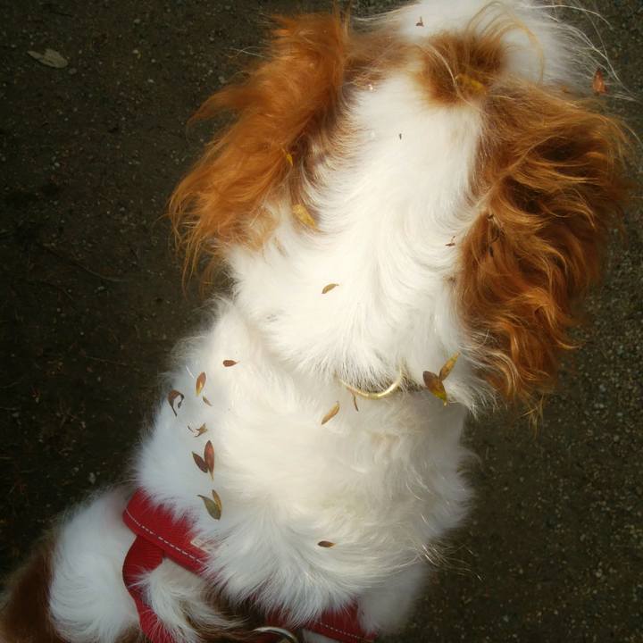 24bee4ad 172a 465c b5c8 3fcb26dbaba5 1547971018695