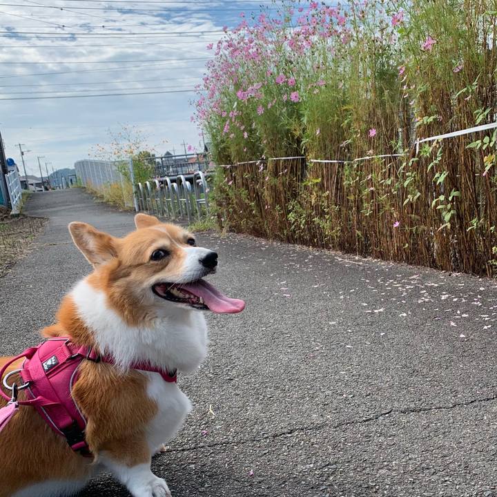 24beef38 f4a3 445a bb07 fceda472e824 1664415342024