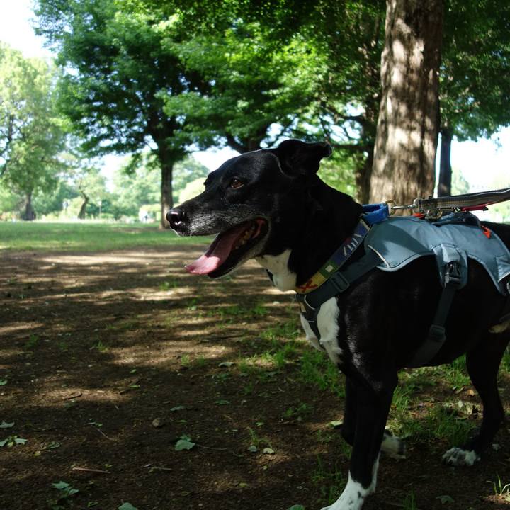 24bf08c6 7a22 4233 abe3 2a22d0854808 1715389948638