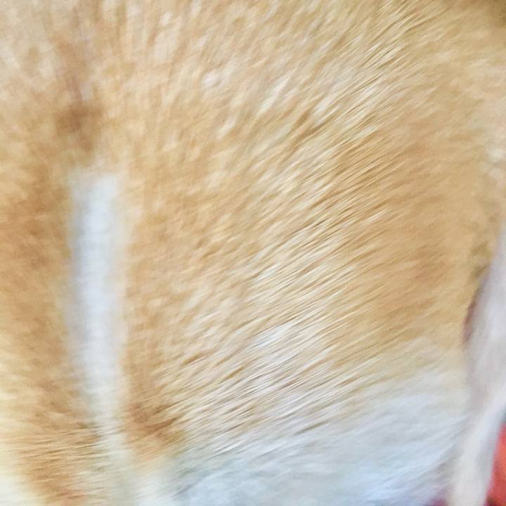 24bf19b0 85f5 4281 9af7 7bcf9ee8fa28 1763388414150