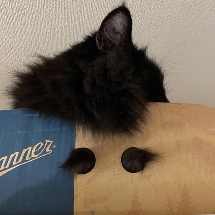 24bf4144 4a4f 44c3 87f8 13c14b261c2c 1577696900516