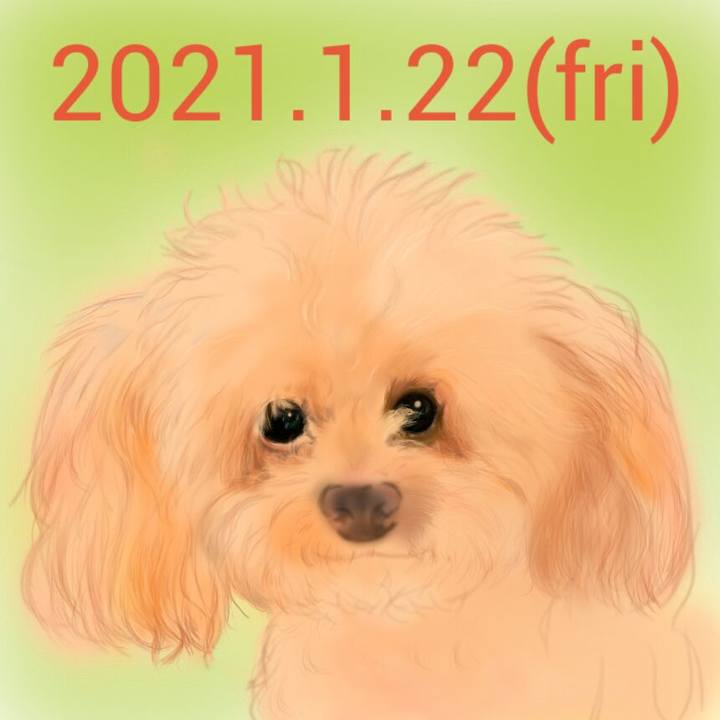 24bf7e56 b7e1 403b bf5f 79b98688c14c 1611313211168