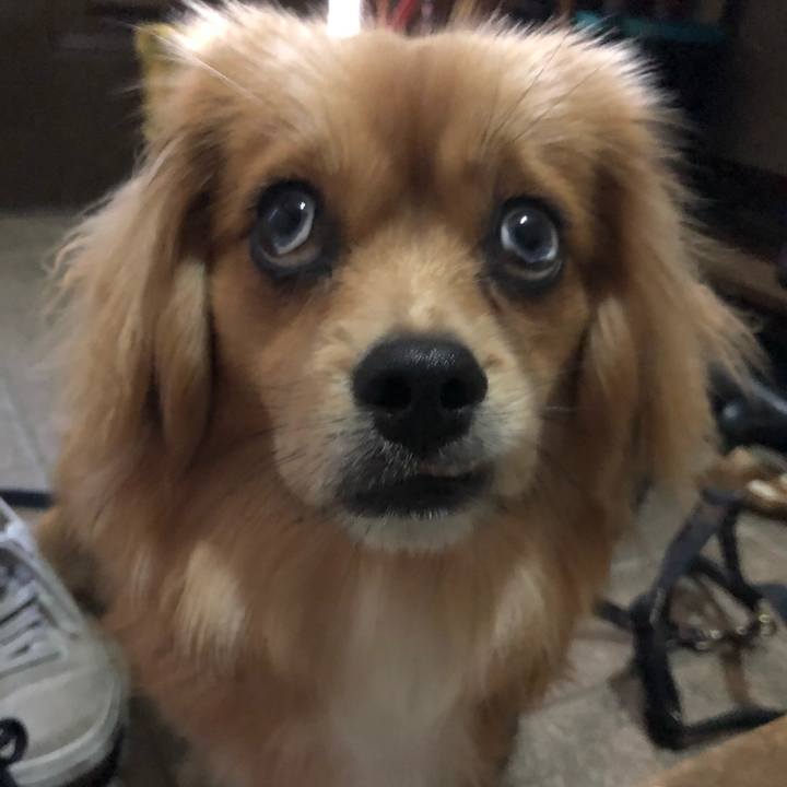 24bf9b7e 12c7 44a3 a4ee af10079fdaad 1524089665431