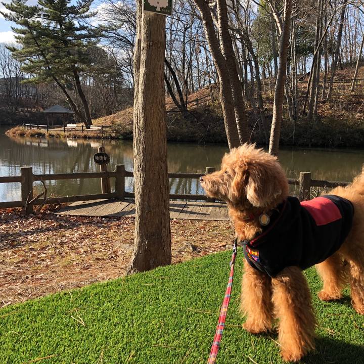 24bf9ff6 55f1 4faa 9da5 bf7a605c3e3b 1545353655866