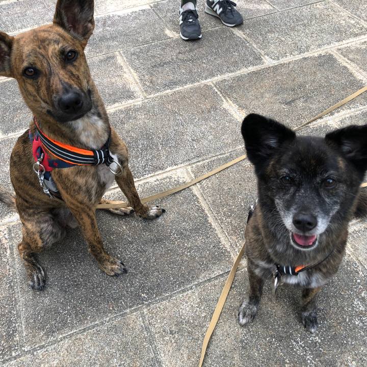 24bfd177 931e 4419 8050 0faf62a4b748 1593348651072