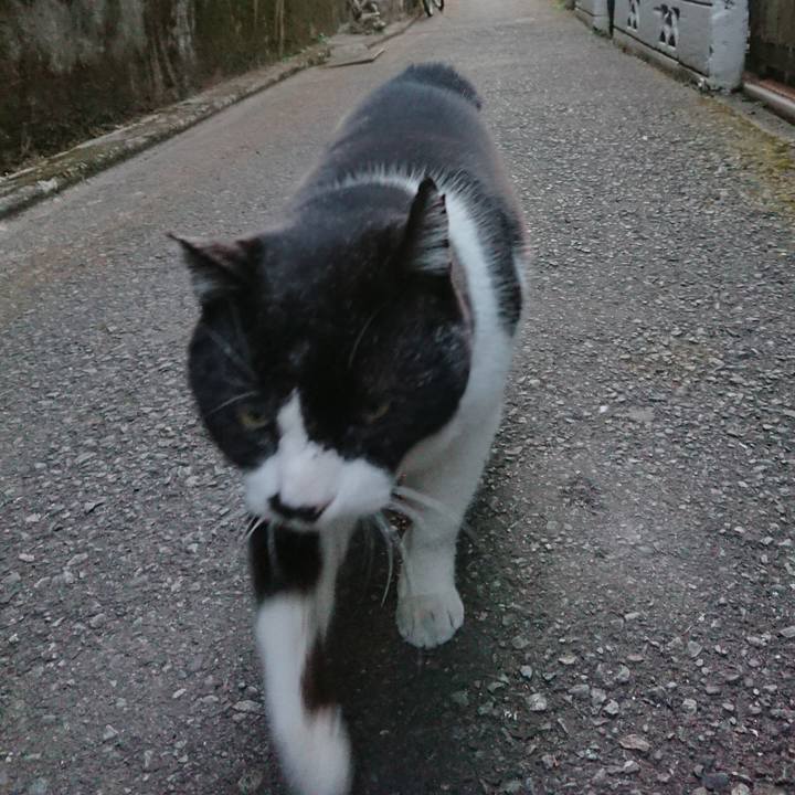 24bfe23a 324d 4477 8e49 987f490aef5b 1646471847127