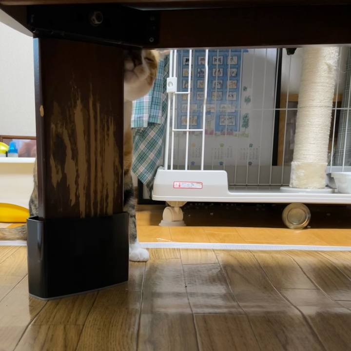 24c0090d 8599 4681 bd5b 32782e65ea7e 1689167895246