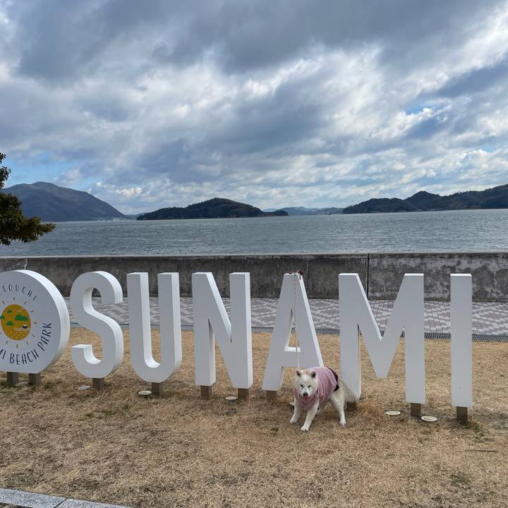 24c01741 069e 4089 9ae7 a941bb89d3b4 1740532217060