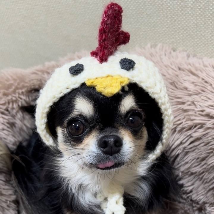 24c02787 b1e0 4edb 9fa7 b5195a3b6413 1670668230065