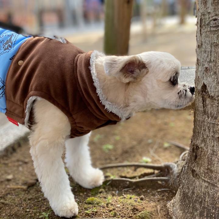 24c0564f e49c 4093 a988 8dde62dffd2e 1577939581609