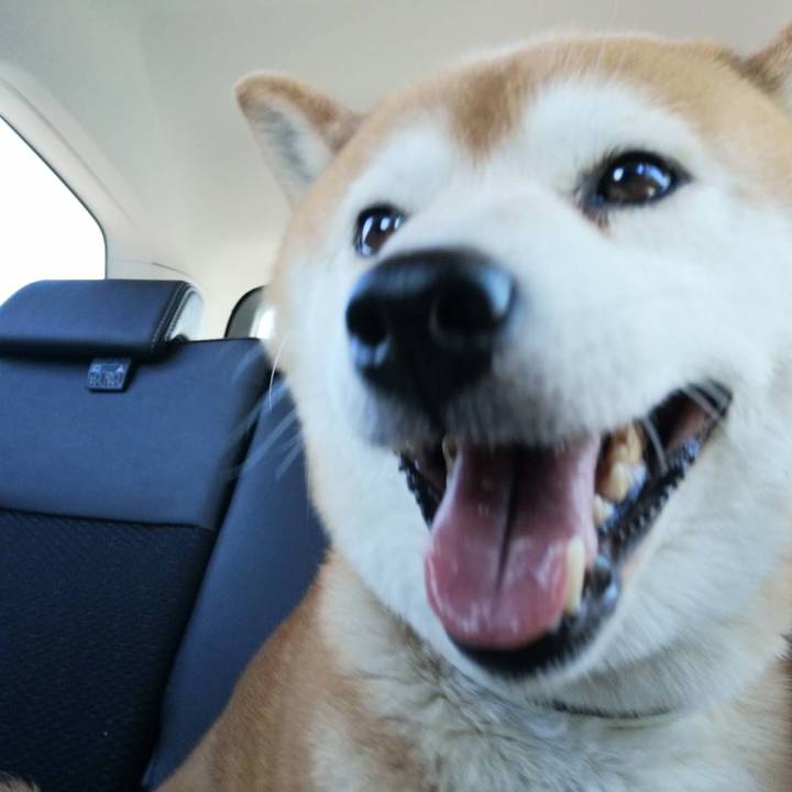 24c06c38 1923 4480 b0b4 7900a9ed6b39 1590109923671