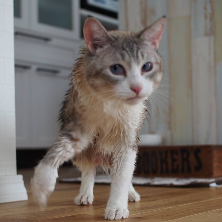 24c072bc 1576 47d6 a0b2 8f2ef0a6ef54 1569726307832