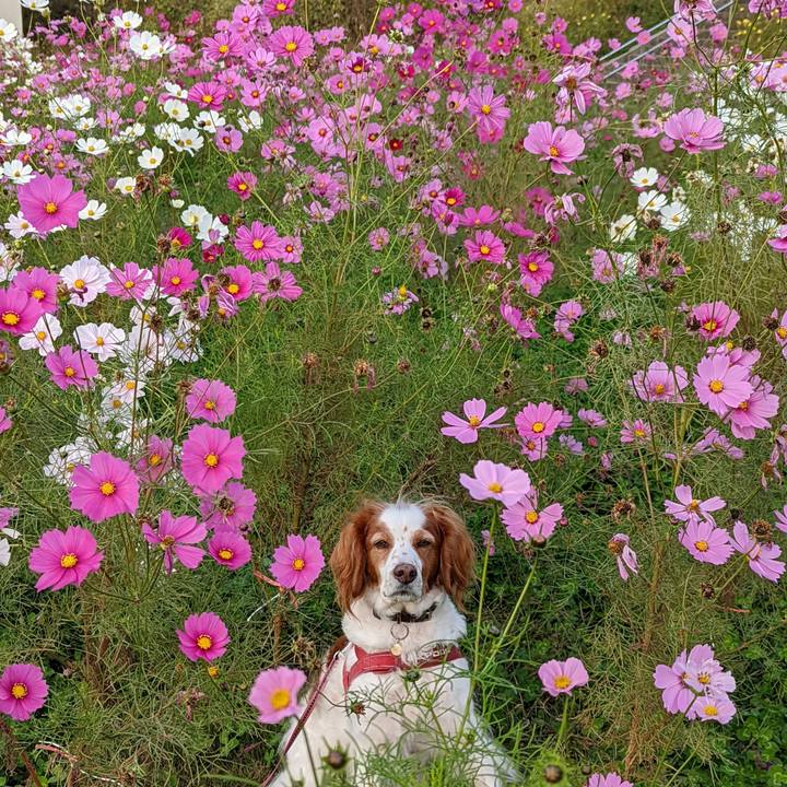 24c0771a e3d1 4515 9cb1 e096d0f83c61 1636373124404