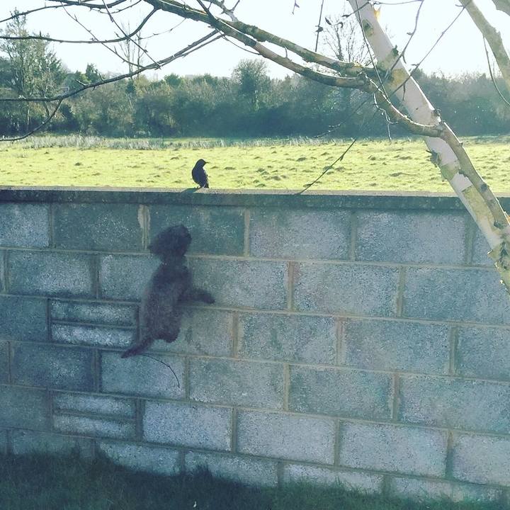 24c07758 8232 46fb 80a2 96ccdd061213 1518438967326