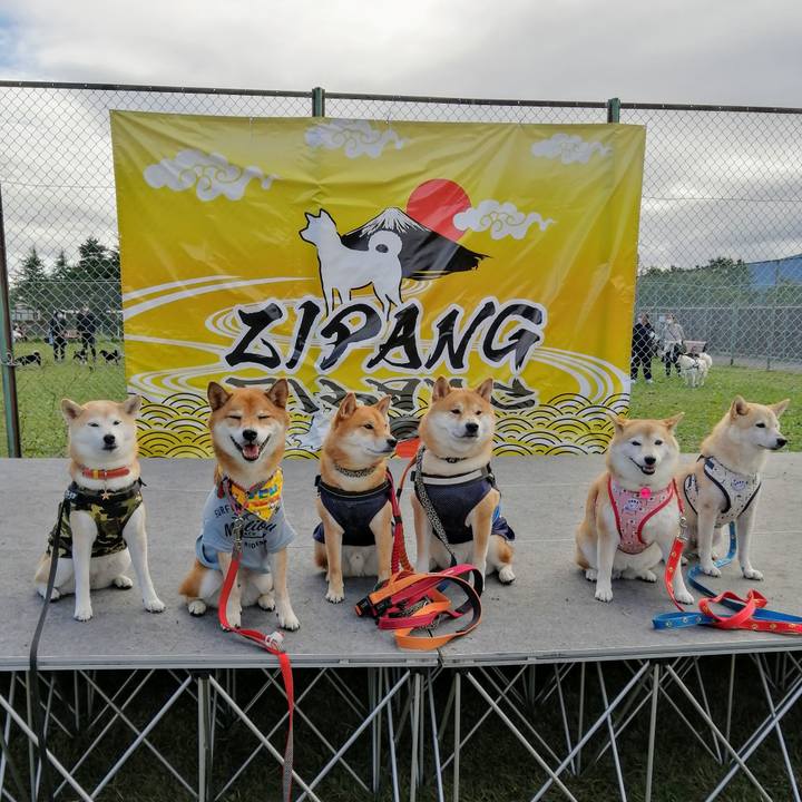 24c0916c faec 4563 aafc 2d5d4e942a82 1602429397586