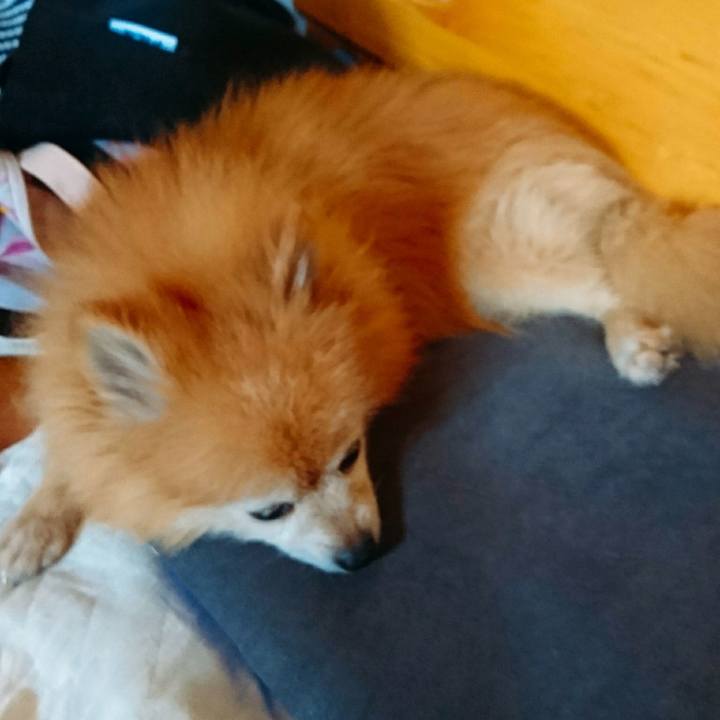 24c12a81 80cd 42d2 bcdd 21a70af9f956 1564960962144