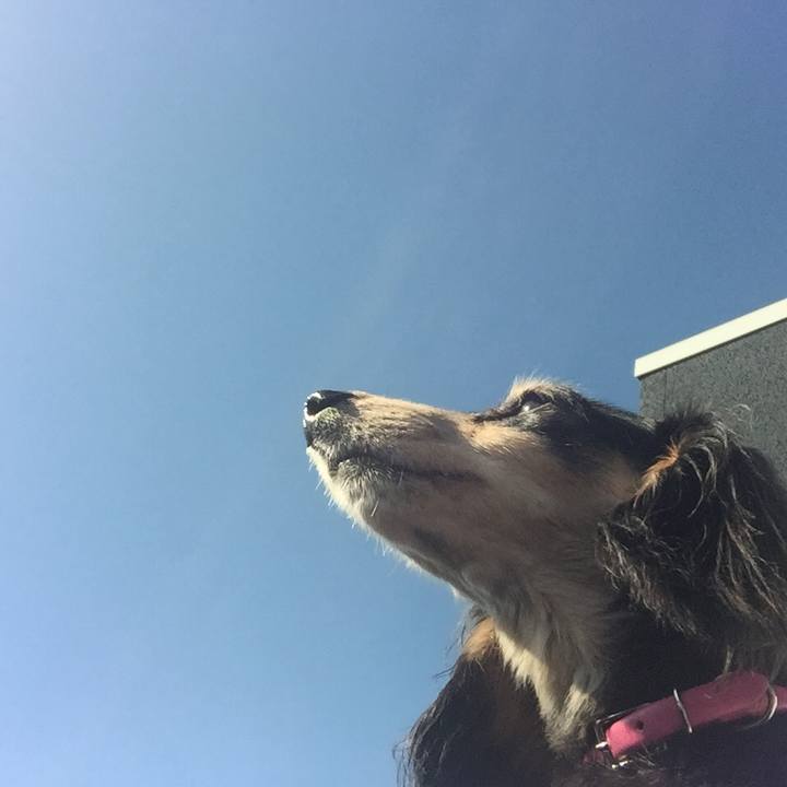 24c13eb1 0443 4331 a2ed b5550b2cc539 1540079298753