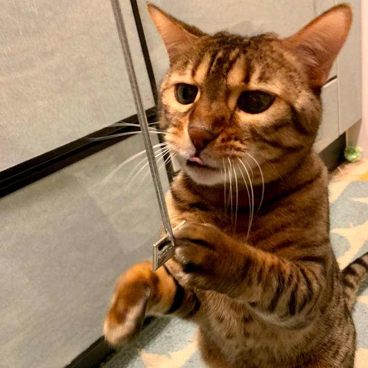 24c1439b 44be 494e 891f db224bf16000 1554434779639