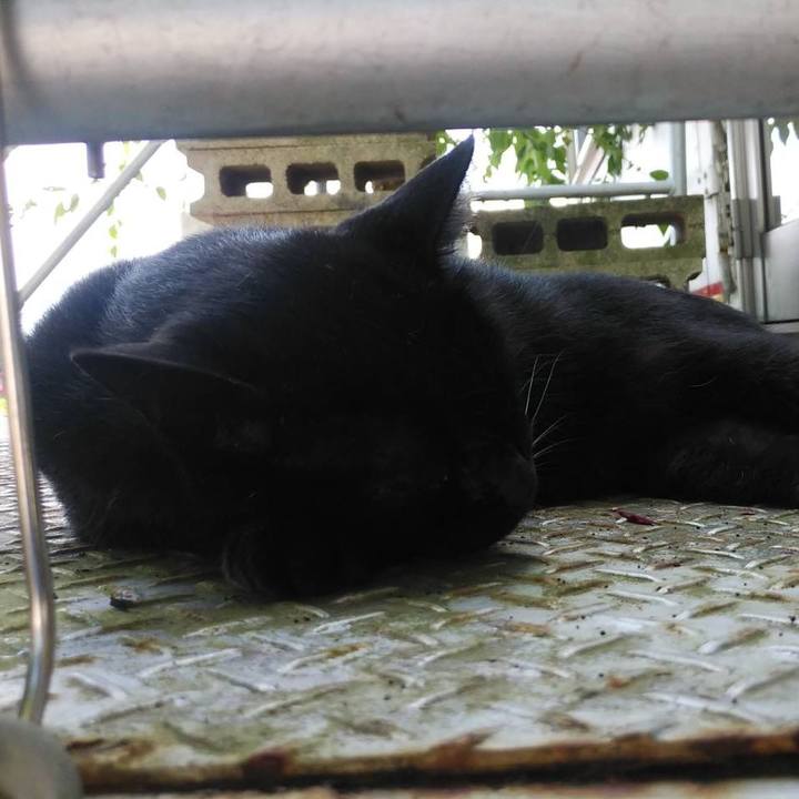 24c1975b d7ec 4ac0 be6f 5439f7a2b4a0 1567733749827