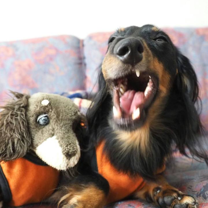 24c1a653 013e 4413 bc0b 117a6b18ce84 1509757493255