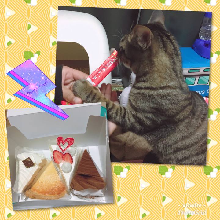 24c1c1bf d94a 4edb 9e39 42d25511cc1a 1546859471733