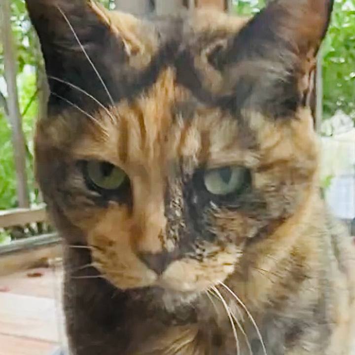 24c1ccaf e695 4895 9327 8faf54493bf2 1742376640190