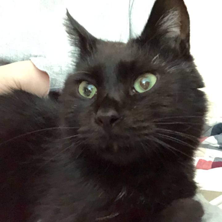 24c1ed12 e8da 4dcc 997a c541eea9c986 1566453334557