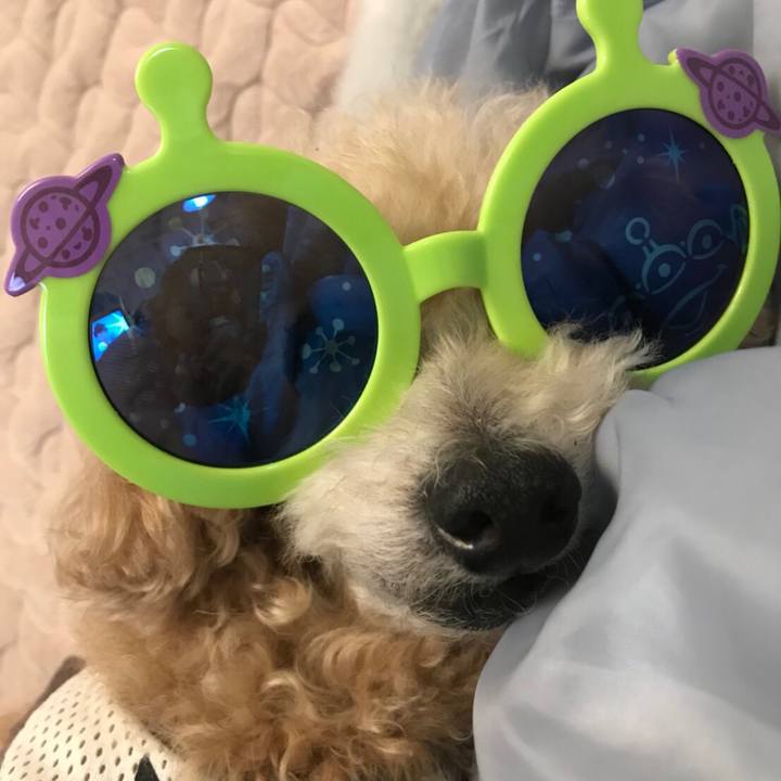 24c21a46 88ee 43b4 80d7 2e07ead7a6e9 1514501661750