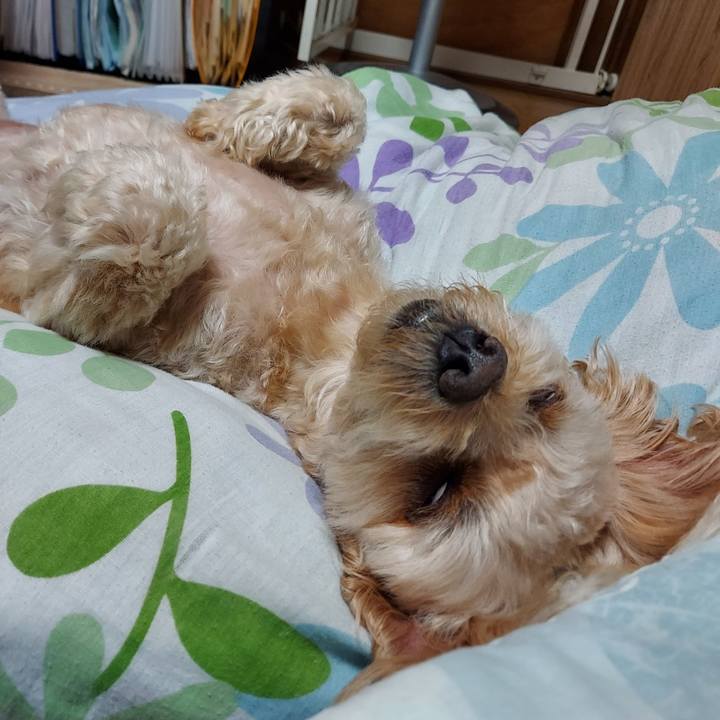 24c24445 f1d0 4cca be5f 4b3b84177729 1660562287203