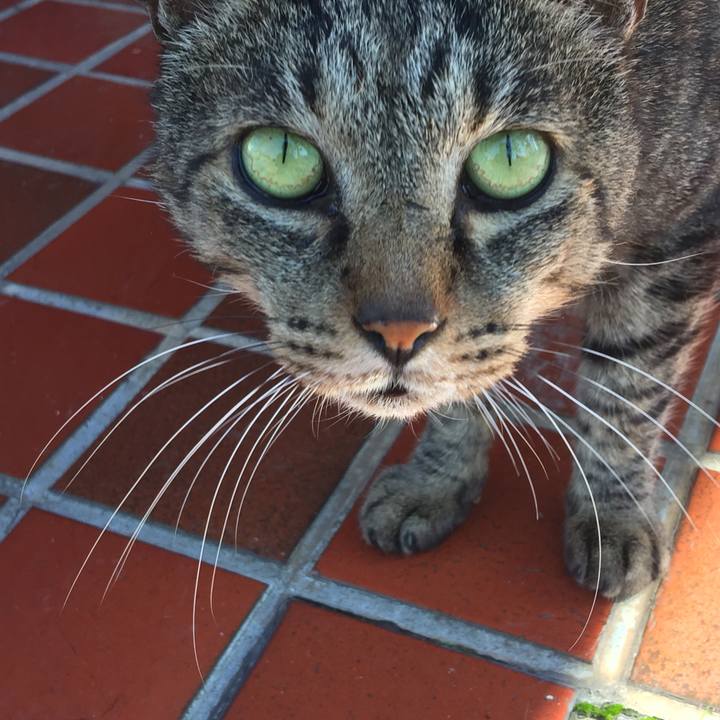 24c25240 9df6 4507 94e8 6aff05b967ad 1546180199820