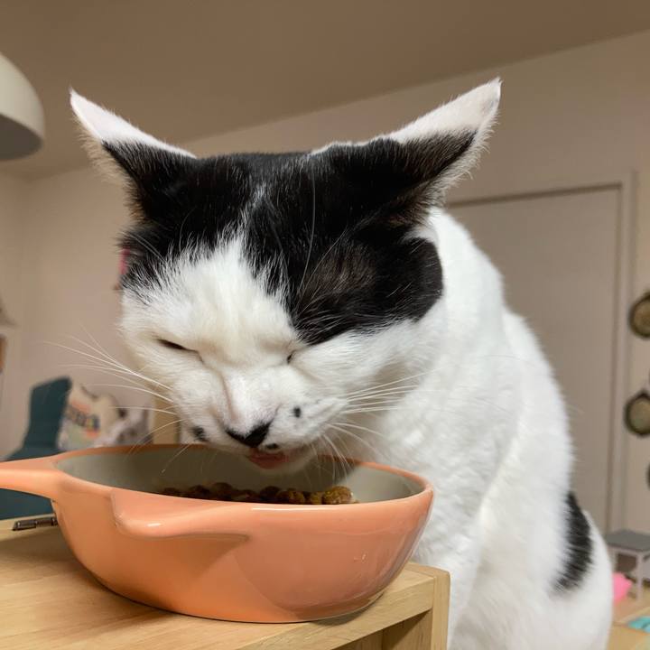 24c26b4c 4f8c 4f1f 9ea5 9b3e2ccc13ca 1765226849643