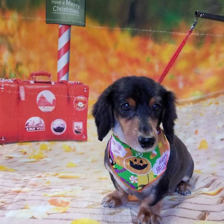 24c2971f 051d 4470 9b74 cdc85153730f 1540244717930