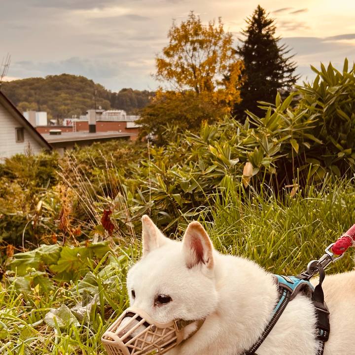 24c29edb f191 412e 93ea 99bb9068a4e2 1759268395957