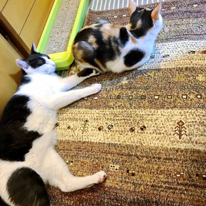 24c2aed6 2078 4bfa 83f5 aabdc7c90ae1 1508335111750