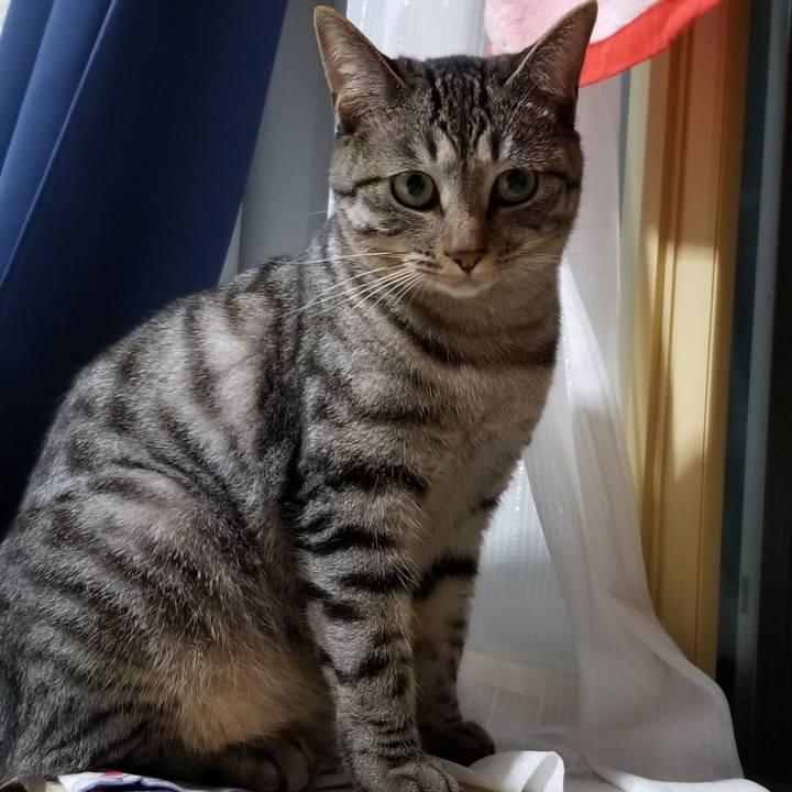 24c2c89d 37da 494c 82f1 875906aa0213 1690260526699