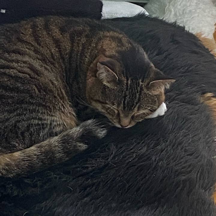 24c2e8f6 6b03 4ada 953e 51f886757837 1716081194407