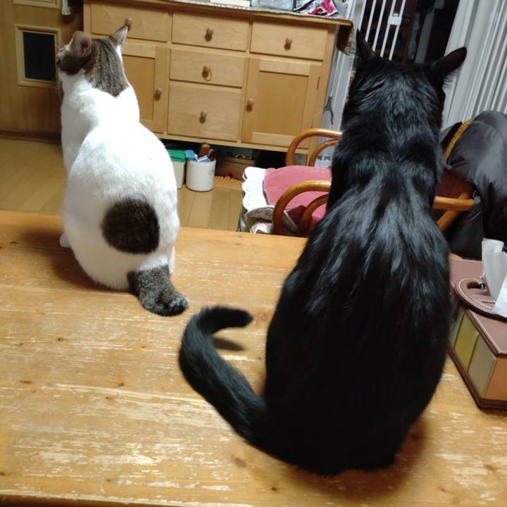 24c301bf fed1 4f55 9b44 35724c4c2540 1673070795672