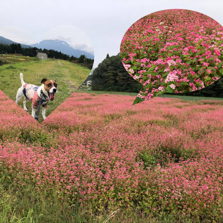 24c3042d c389 4691 9d1d 36a0a562c32c 1601372437954