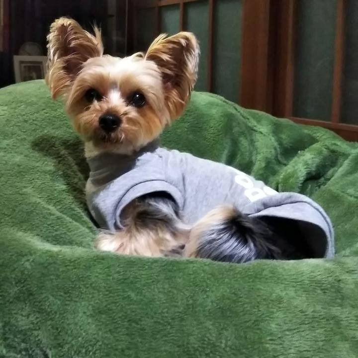 24c31251 c47a 437f 8300 89e08b51ef6e 1614475324839