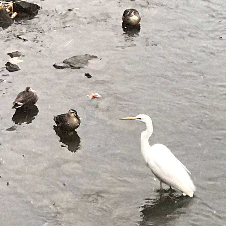 24c31389 e5e2 4a71 81c9 febfa5018e45 1583924473009