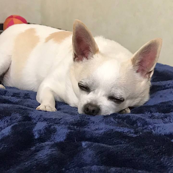 24c39513 6ffe 4a1f 9439 e04f06c2a954 1554448818811