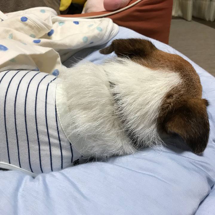 24c3b268 2b4d 408f bc43 ed7af1cb97a0 1566480611292